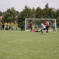 IMG 1231